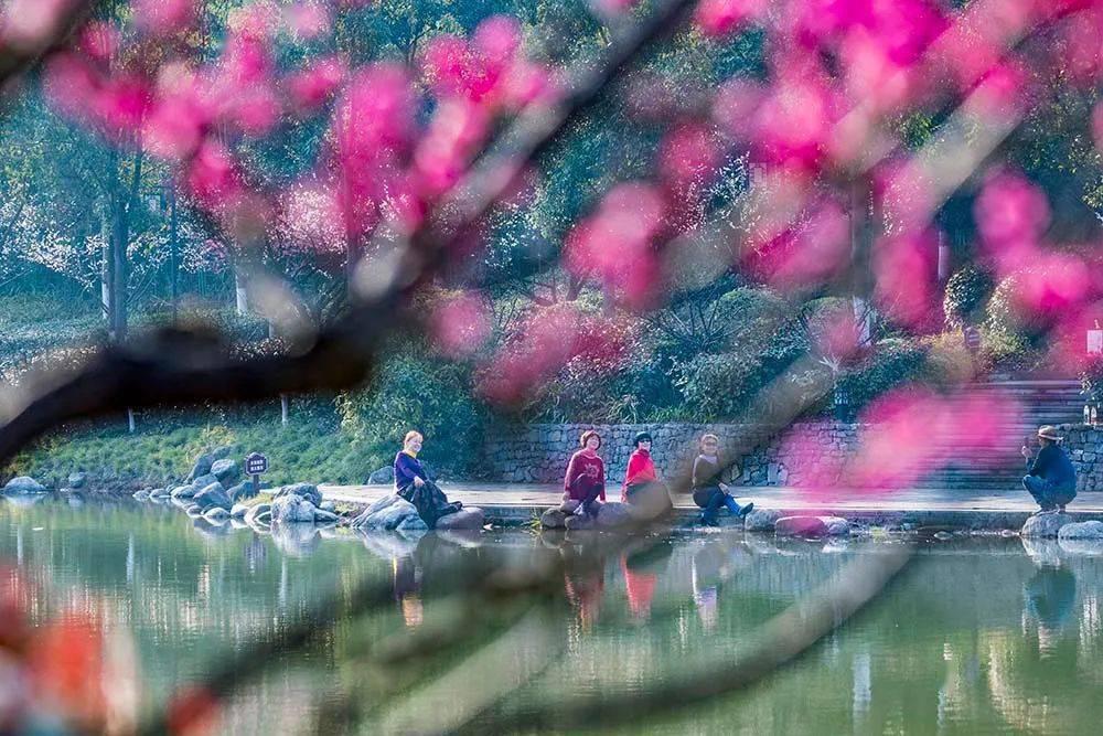 横跨五十年,陈传兴还是“未完成过去时”