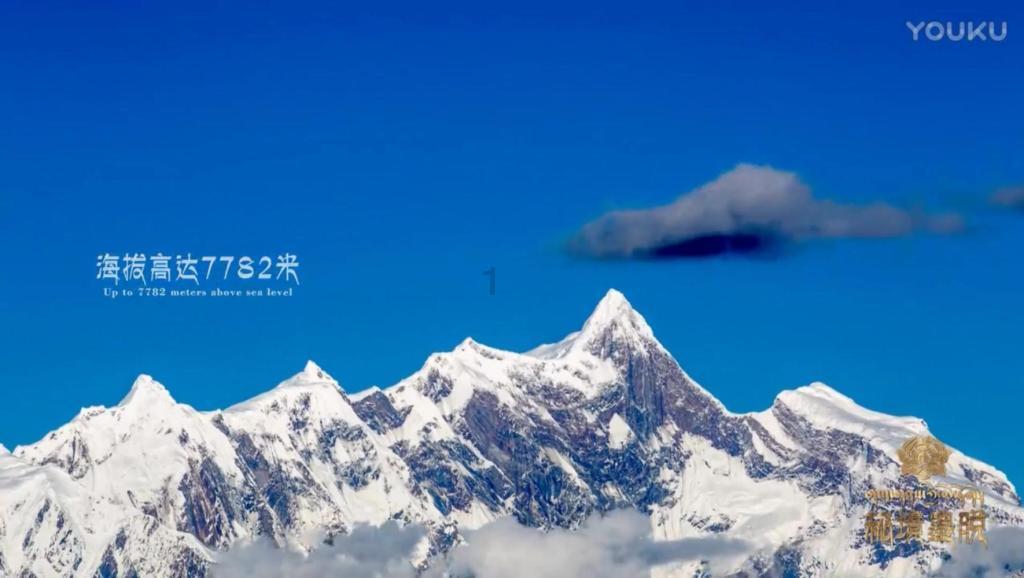 逃离马儿森林