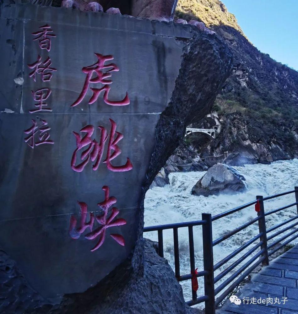 过半信托公司2023年利润下滑