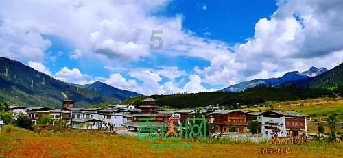 在线网校平台：教育机构快速扩张的新引擎|大象网盟