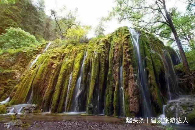 刺客信条：枭雄