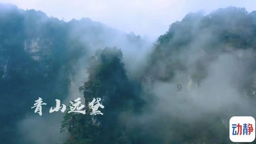 今夜百乐门丨金星欧弟小品《销售达人》台词