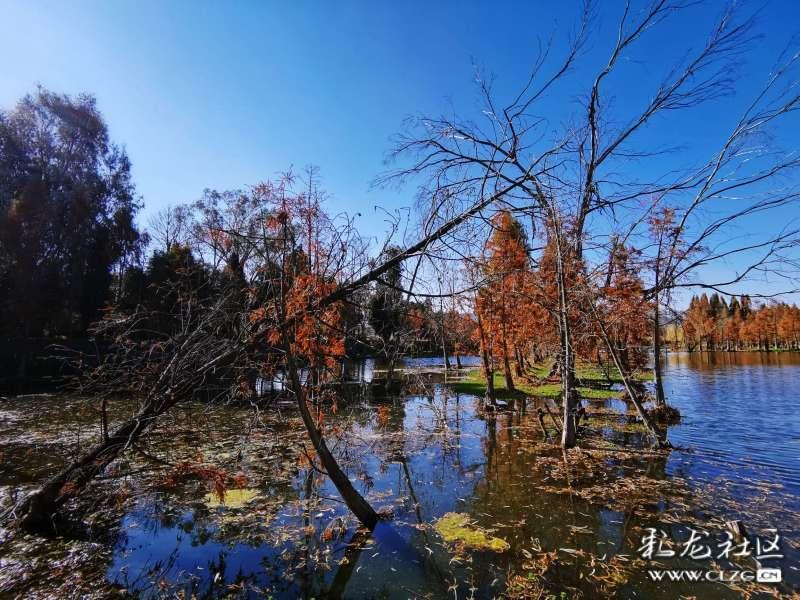 建工修复最新公告:联合中标海口磷石膏无害化处理项目EPC总承包工程