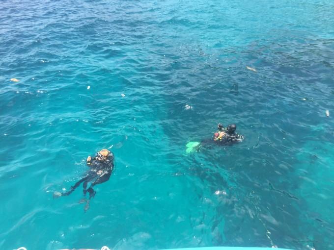 夏季热带海滩逃生