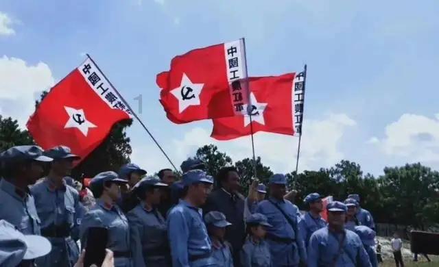 宜州区 7万多亩冬种作物铺就致富路