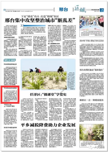 寻找迷路的松鼠
