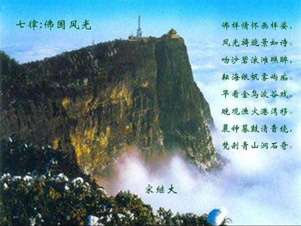 越过篱笆
