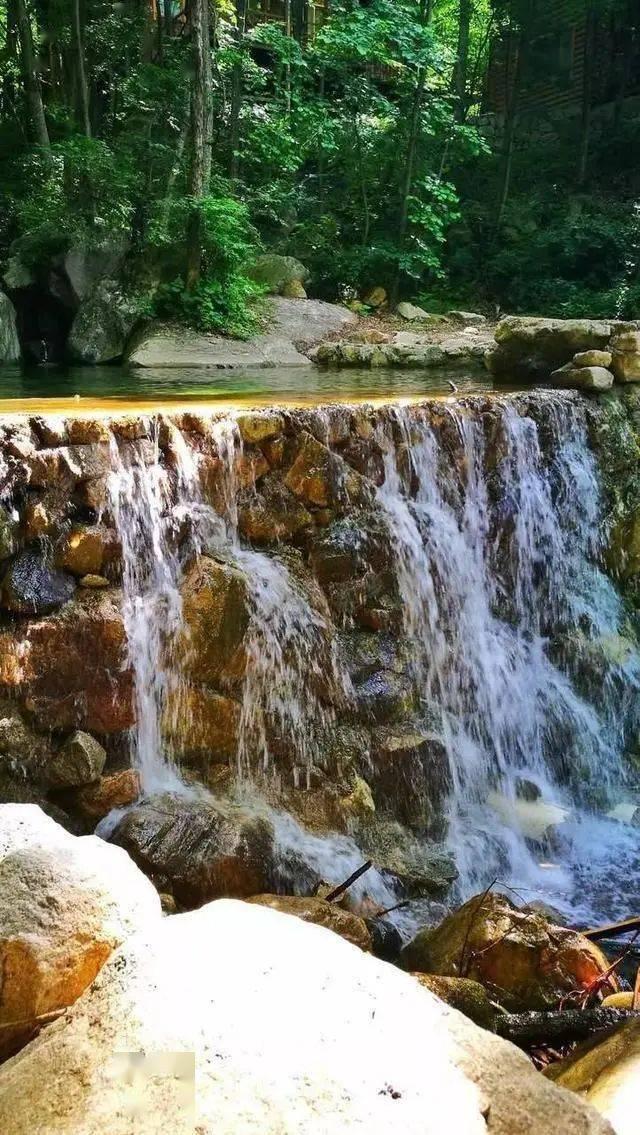 虫虫助手下载