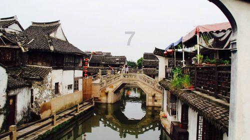 一场分阶风暴已席卷母婴界，现在营养品也入局了
